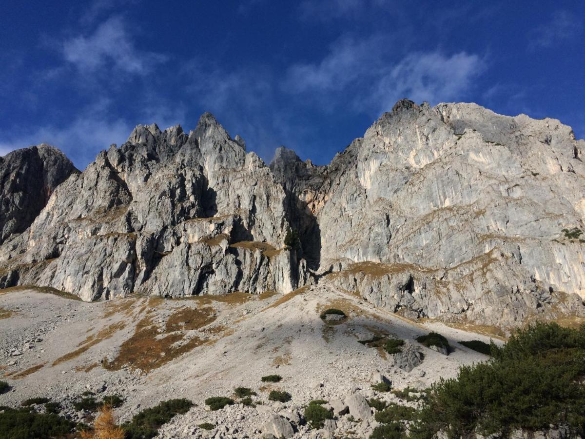 Ferienwohnung "Mein Alpenjuwel" Filzmoos Exterior foto